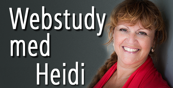Webstudy med Heidi - Nyhedsbrev med Heidi Bille, Dolphin Consult og Webstudy