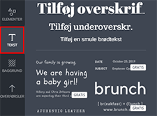 Du har en lang række grafiske tekster, at vælge mellem i Canva Du bruger Audacity som klippe-klister bord