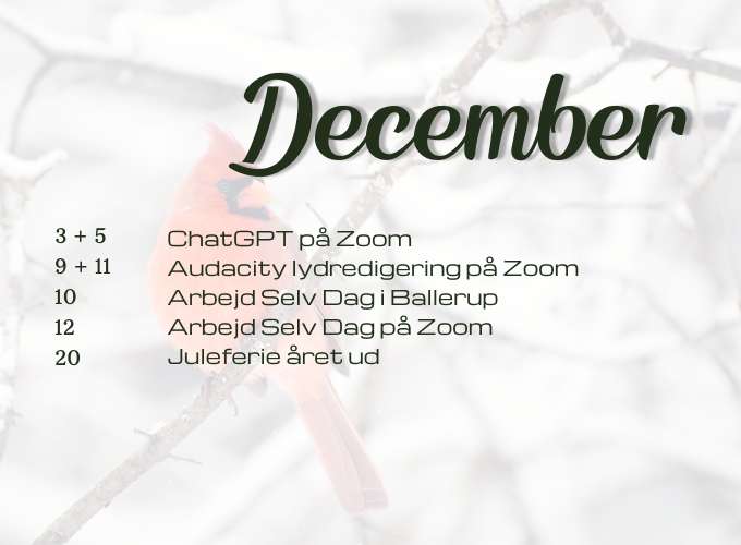 Kalender for december 2024