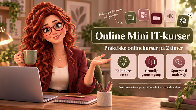 Online Mini Kurser hos Dolphin Consult og Heidi Bille